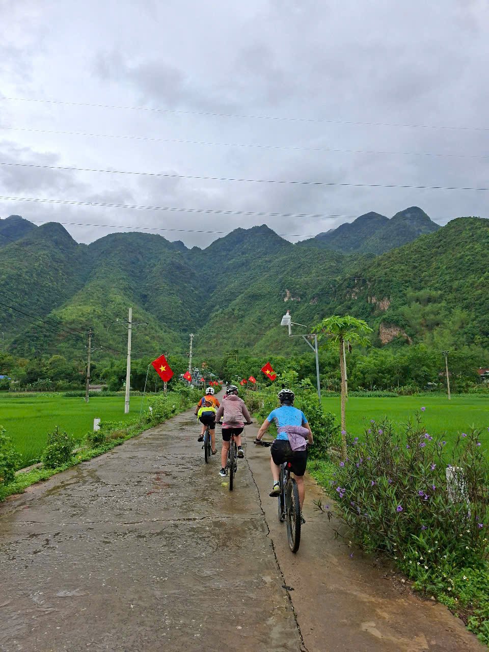 12-Day Northern Vietnam Cycling Tour: Sapa, Mu Cang Chai & Pu Luong Adventure